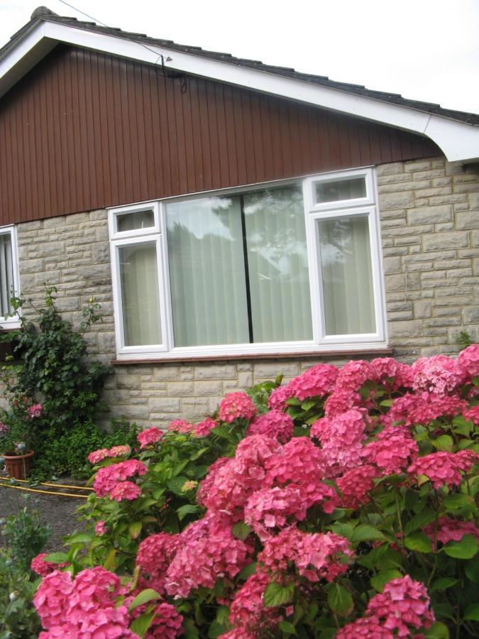 Pine Lodge Barton-on-Sea Exterior foto