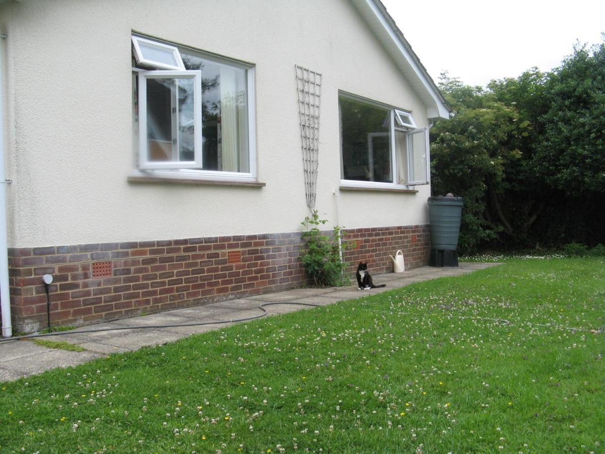 Pine Lodge Barton-on-Sea Exterior foto